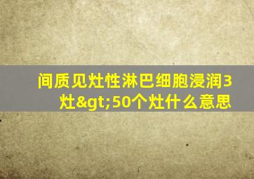 间质见灶性淋巴细胞浸润3灶>50个灶什么意思